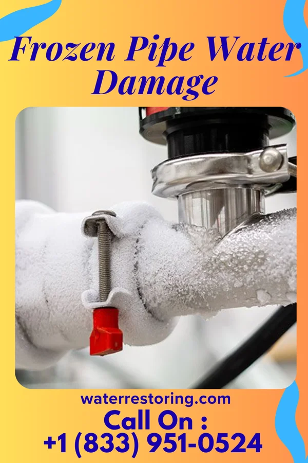 Frozen Pipe Water Damage in Plum Branch, SC