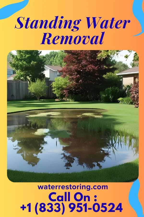 Standing Water Removal in Plum Branch, SC